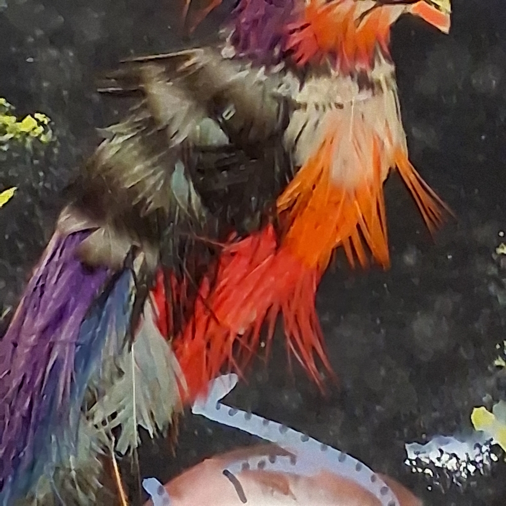 Source Unknown Vibrant Feather Art in Wooden Frame - Picture 5 of 7